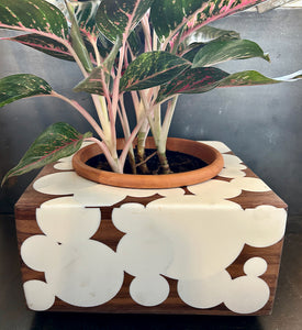 9" BUBBLE CLOUD PLANTER - in Walnut Wood with White Cast Resin