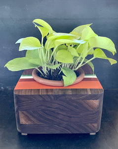 8" PACIFIC PLANTER - in Walnut Wood with Cast Resin Banding
