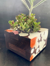 Load image into Gallery viewer, BUBBLE CLOUD SUCCULENT PLANTER  in Walnut Wood and White Resin

