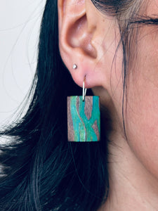 SQUIG TABS - Walnut Wood Earring with Multi-Color Resin 2