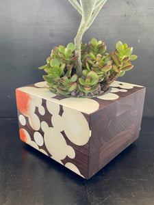 BUBBLE CLOUD SUCCULENT PLANTER  in Walnut Wood and White Resin