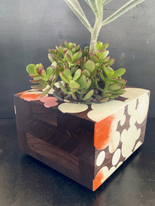 BUBBLE CLOUD SUCCULENT PLANTER  in Walnut Wood and White Resin