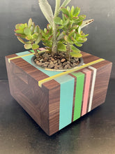 Load image into Gallery viewer, PACIFIC SUCCULENT PLANTER  in Walnut Wood and Resin Banding
