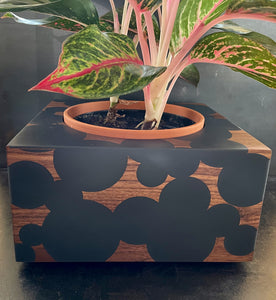 9" BUBBLE CLOUD PLANTER - in Walnut Wood with Charcoal Cast Resin