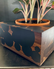Load image into Gallery viewer, 9&quot; BUBBLE CLOUD PLANTER - in Walnut Wood with Charcoal Cast Resin
