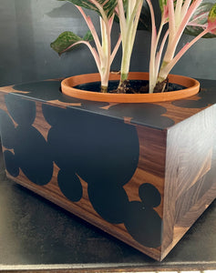 9" BUBBLE CLOUD PLANTER - in Walnut Wood with Charcoal Cast Resin