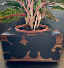 Load image into Gallery viewer, 9&quot; BUBBLE CLOUD PLANTER - in Walnut Wood with Charcoal Cast Resin
